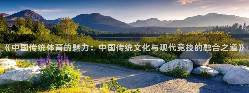 球速体育