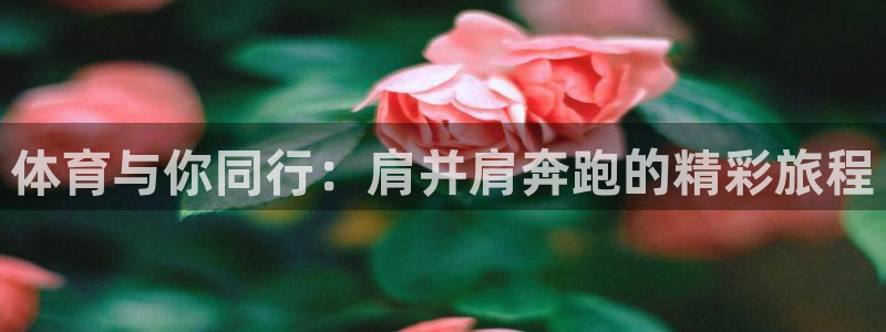球速体育
