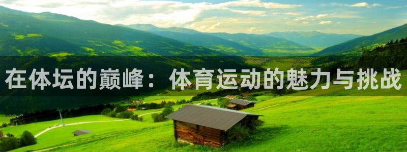 球速体育：在体坛的巅峰：体育运动的魅力与挑战