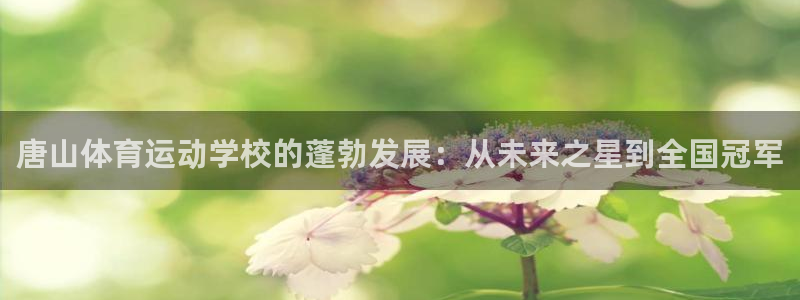 球速体育：唐山体育运动学校的蓬勃发展：从未来之星到全国冠军