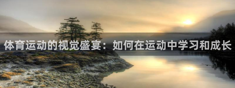 球速体育