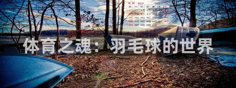 球速体育：体育之魂：羽毛球的世界