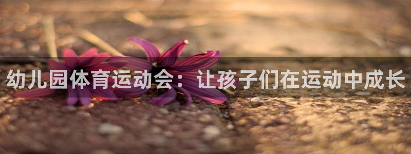 球速体育