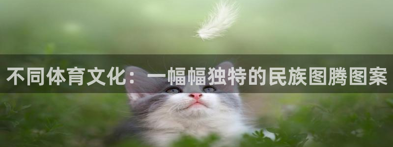 球速体育