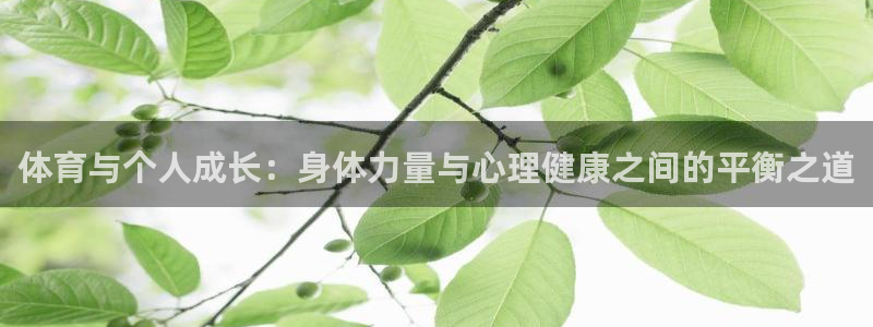 球速体育：体育与个人成长：身体力量与心理健康之间的平衡之道