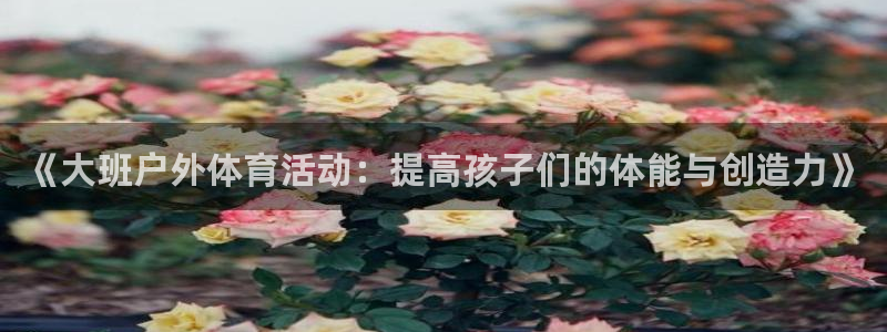 球速体育：《大班户外体育活动：提高孩子们的体能与创造力》