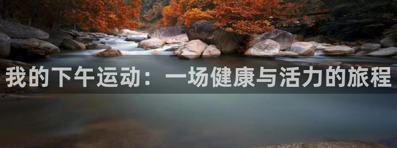 球速体育：我的下午运动：一场健康与活力的旅程