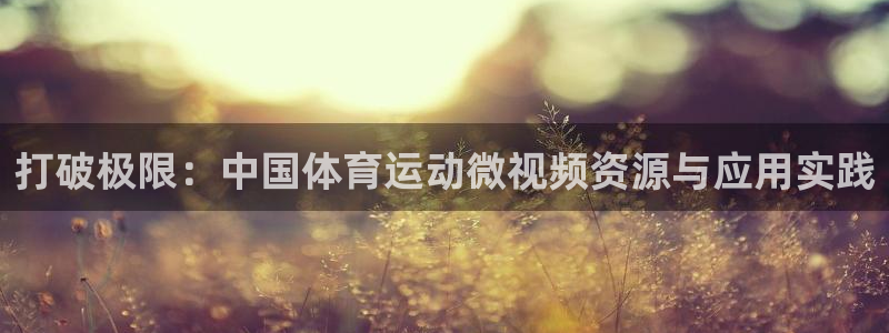 球速体育：打破极限：中国体育运动微视频资源与应用实践
